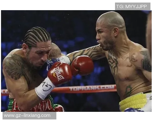 库托与戈洛夫金巅峰对决谁能在拳坛称王揭开传奇新篇